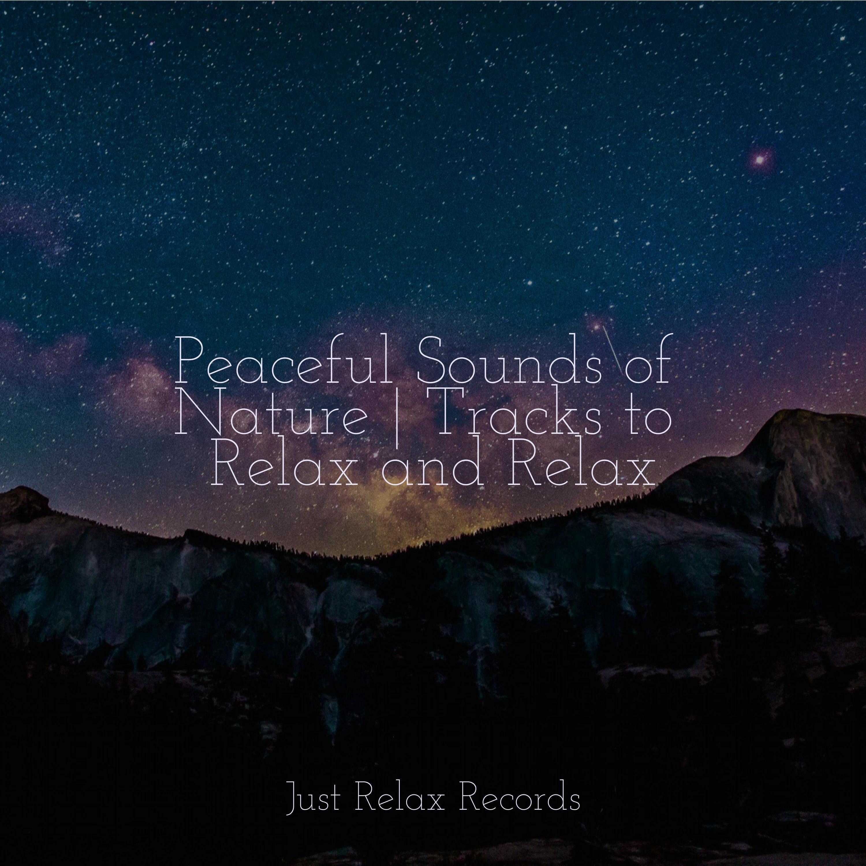 Peaceful Sounds of Nature | Tracks to Relax and Relax - Rest & Relax ...