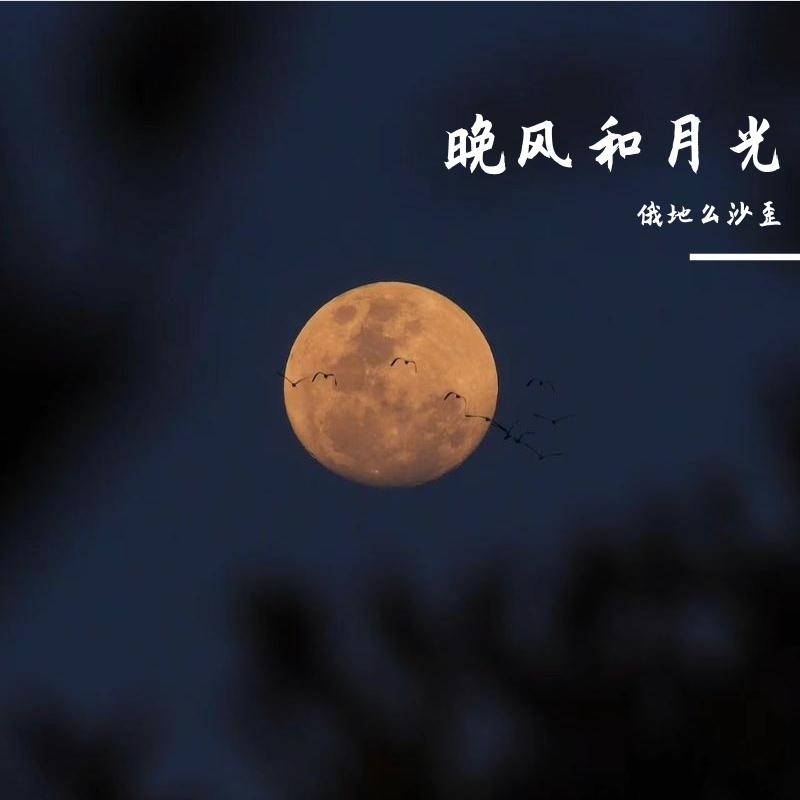 风铃的私语封面