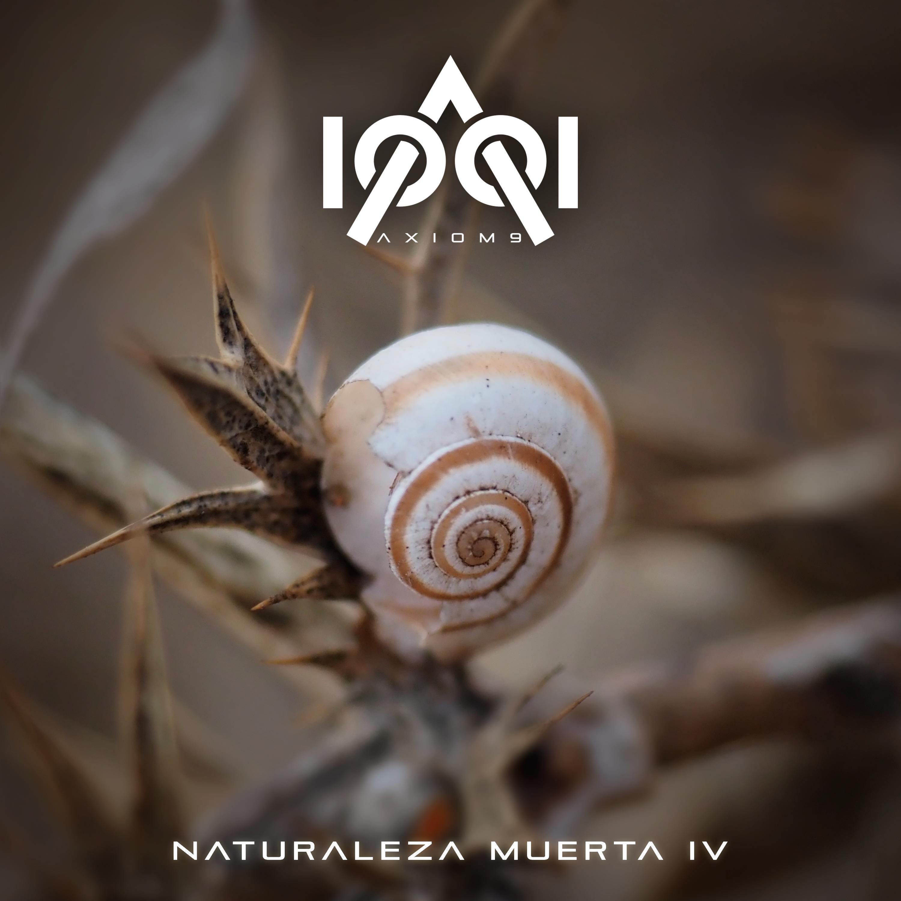Naturaleza Muerta IV