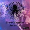 Steve Hammer - Sh__t