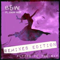 Flying To The Sky (Remixes Edition)