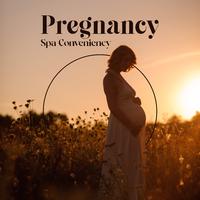 Pregnancy Spa Conveniency – Moments of Pleasure for Mothers-to-Be