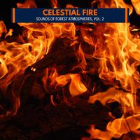 Celestial Fire - Sounds of Forest Atmospheres, Vol. 2