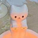 阿禹FeiTo