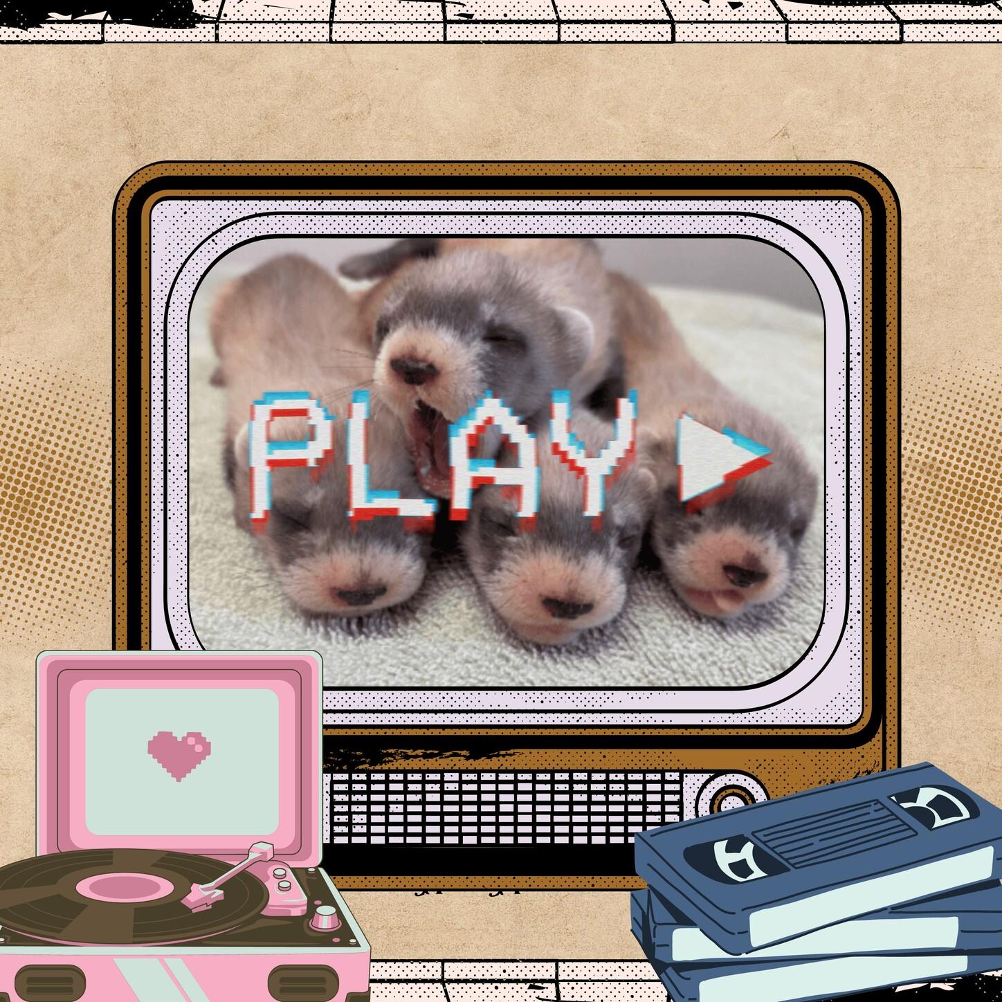 AAAAAAAAAAAAAAAAAAAA