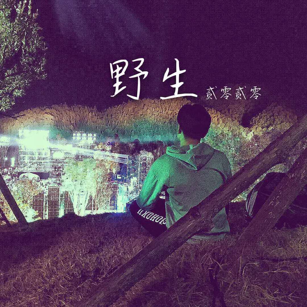 消失民谣 伴奏 - 野的吴世奇封面