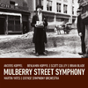 Benjamin Koppel - The Last Mulberry