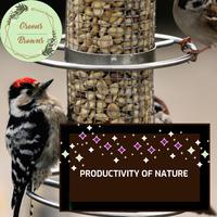 Productivity of Nature