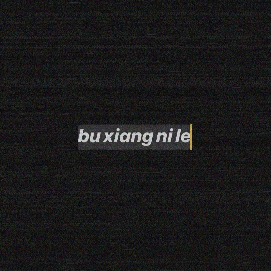 不想你了（Prod By 9Zi）