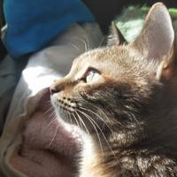 ㅤღtaOsama7资料,ㅤღtaOsama7最新歌曲,ㅤღtaOsama7MV视频,ㅤღtaOsama7音乐专辑,ㅤღtaOsama7好听的歌