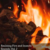 Realxing Fire and Insects Sounds, Vol. 2