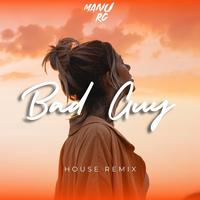 Bad Guy (House) [Remix]