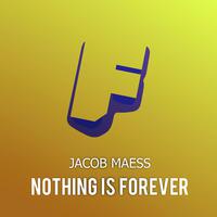 Nothing Is Forever