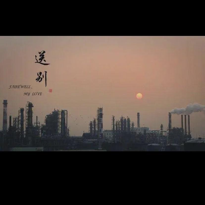 你离开了南京从此没有人和我说话封面