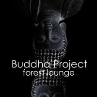 Buddha Project