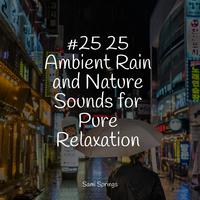 #25 25 Ambient Rain and Nature Sounds for Pure Relaxation