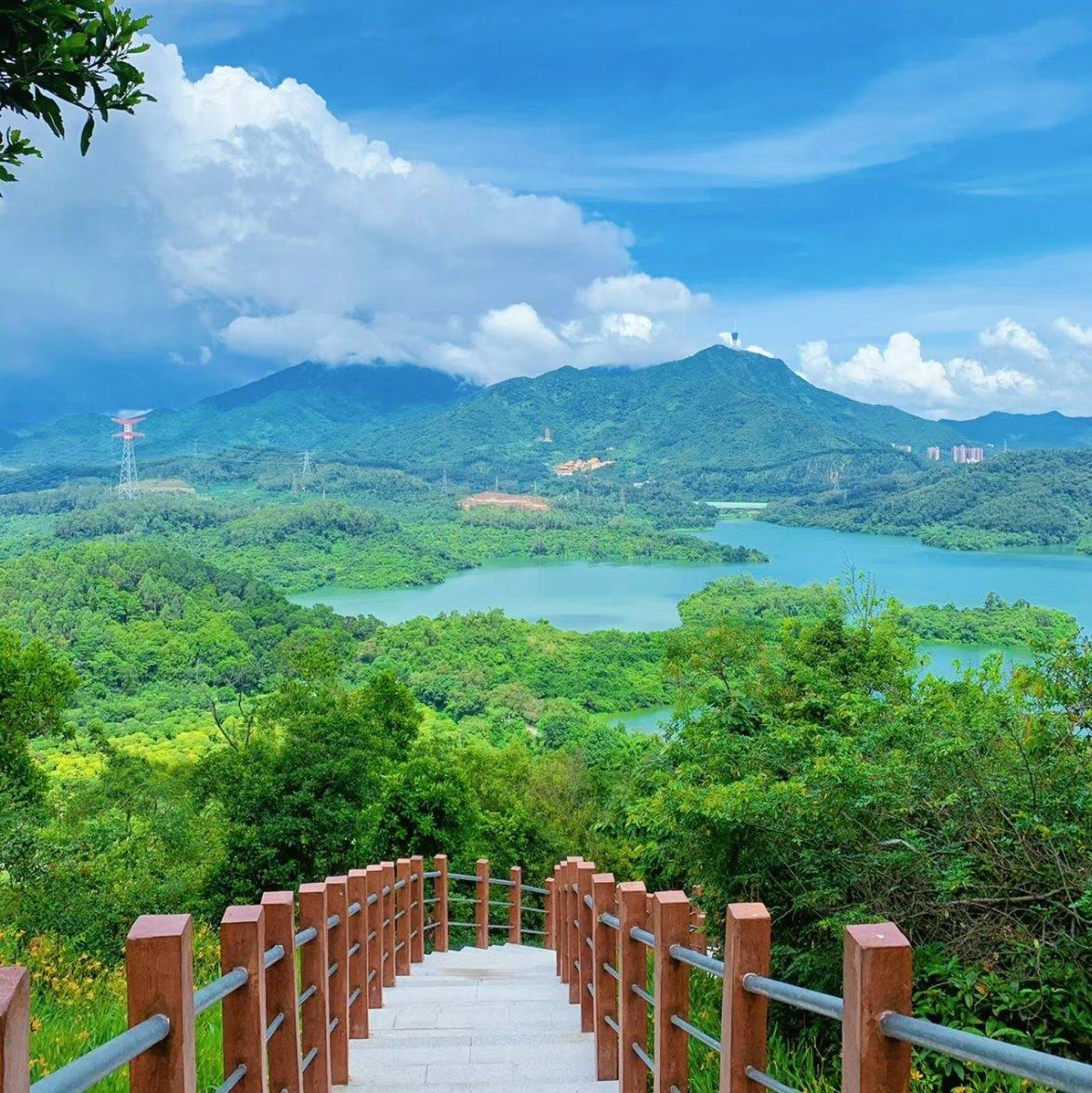 花桥流水封面