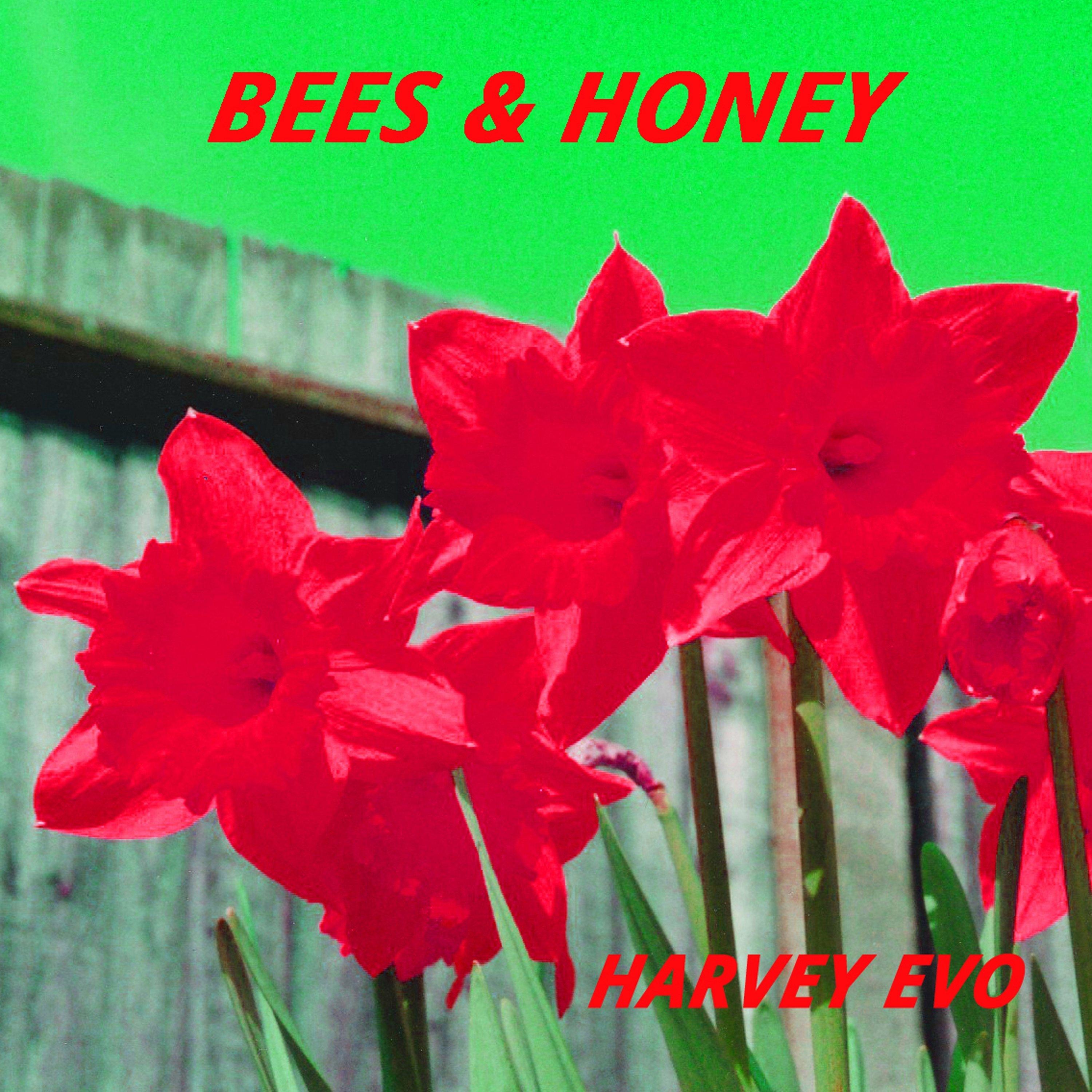 Bees & Honey