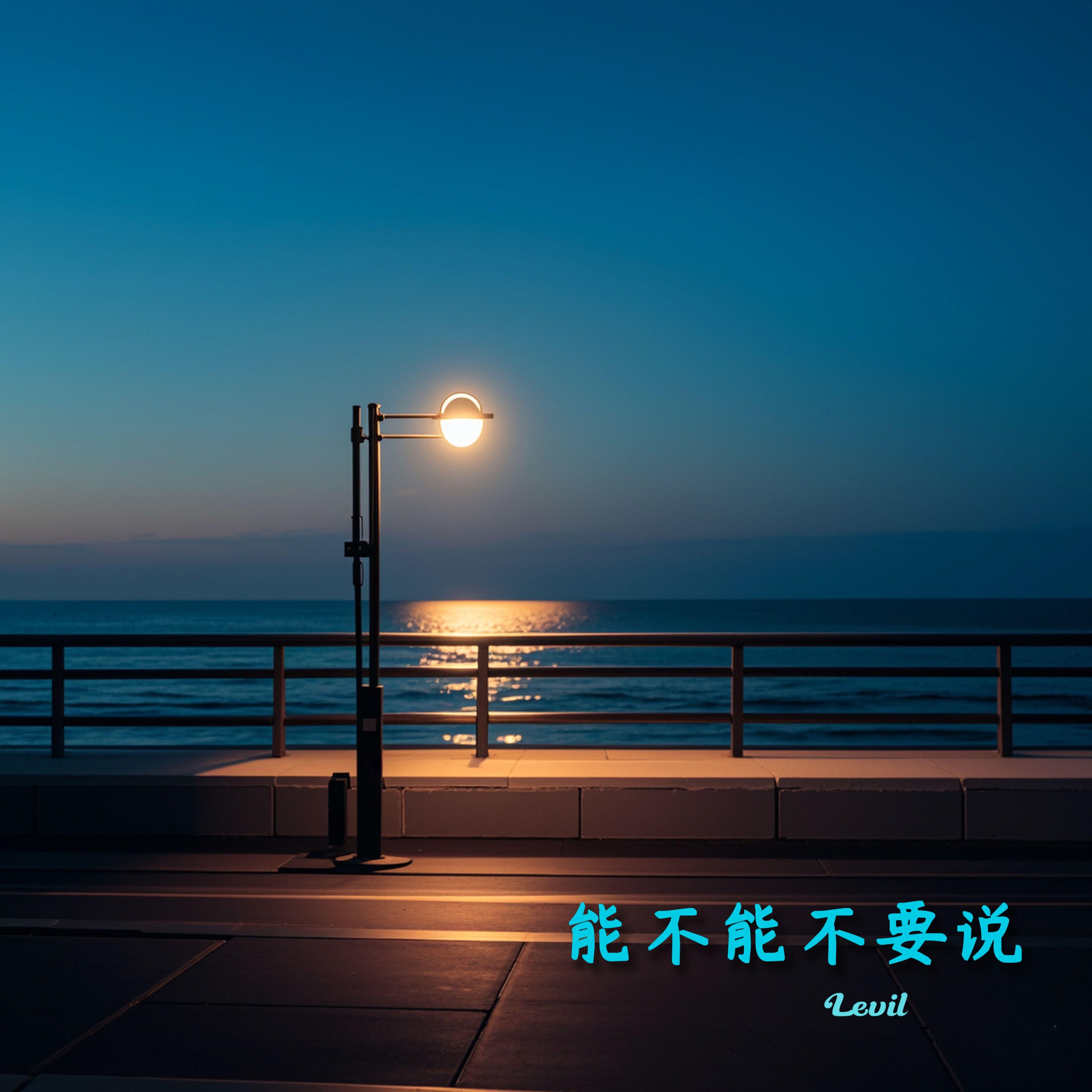 能不能不要说 - Levil封面