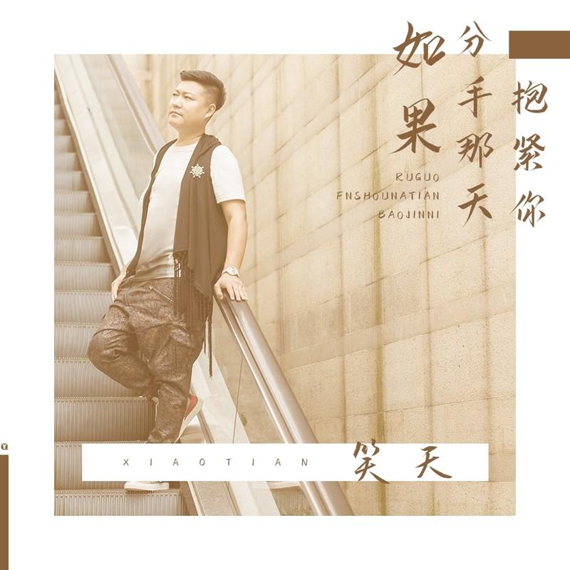 如果分手那天抱紧你封面