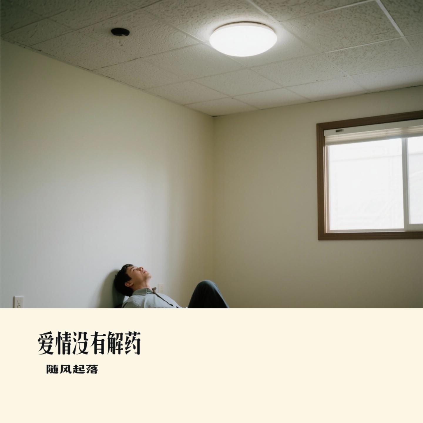 爱情没有解药封面