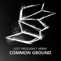 Lost Frequency Array