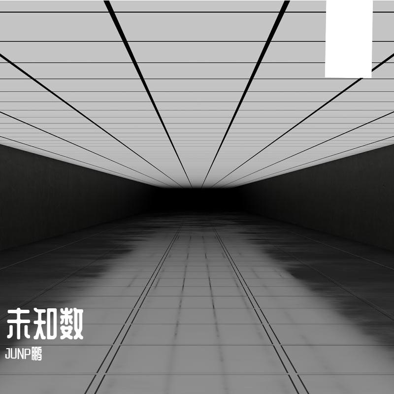 未知数Unknown number封面