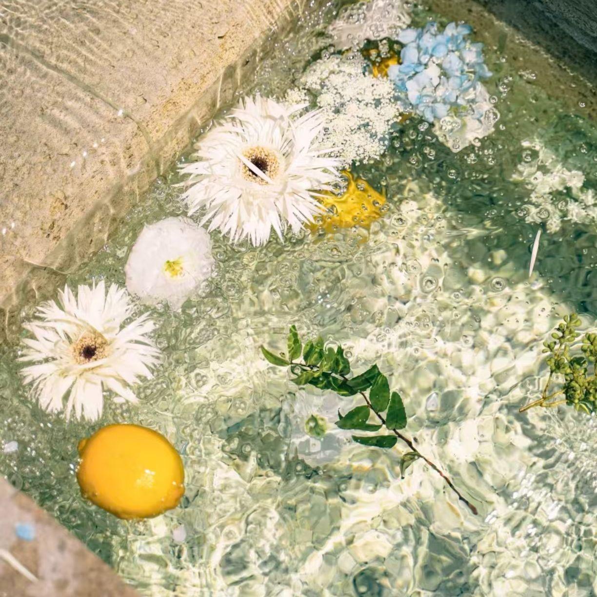 星芒的呢喃封面