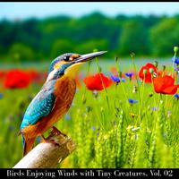 Birds Enjoying Winds with Tiny Creatures, Vol. 02
