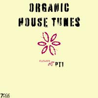 Organic Flower House Tunes, Pt. 1