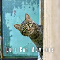 Lofi Cat Moments: Soothing Cats with Chill Music