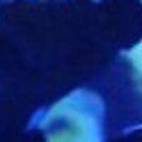 grandee资料,grandee最新歌曲,grandeeMV视频,grandee音乐专辑,grandee好听的歌