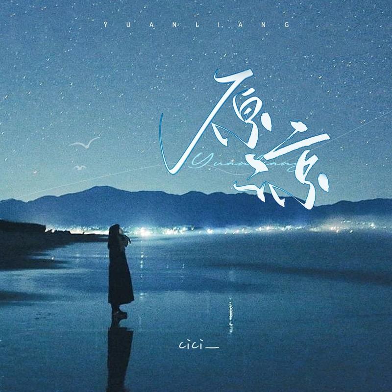 原谅 (释怀版)封面