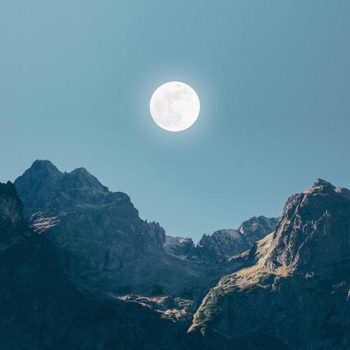 Silver (Zimmer Remix)