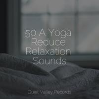 50 A Yoga Reduce Relaxation Sounds