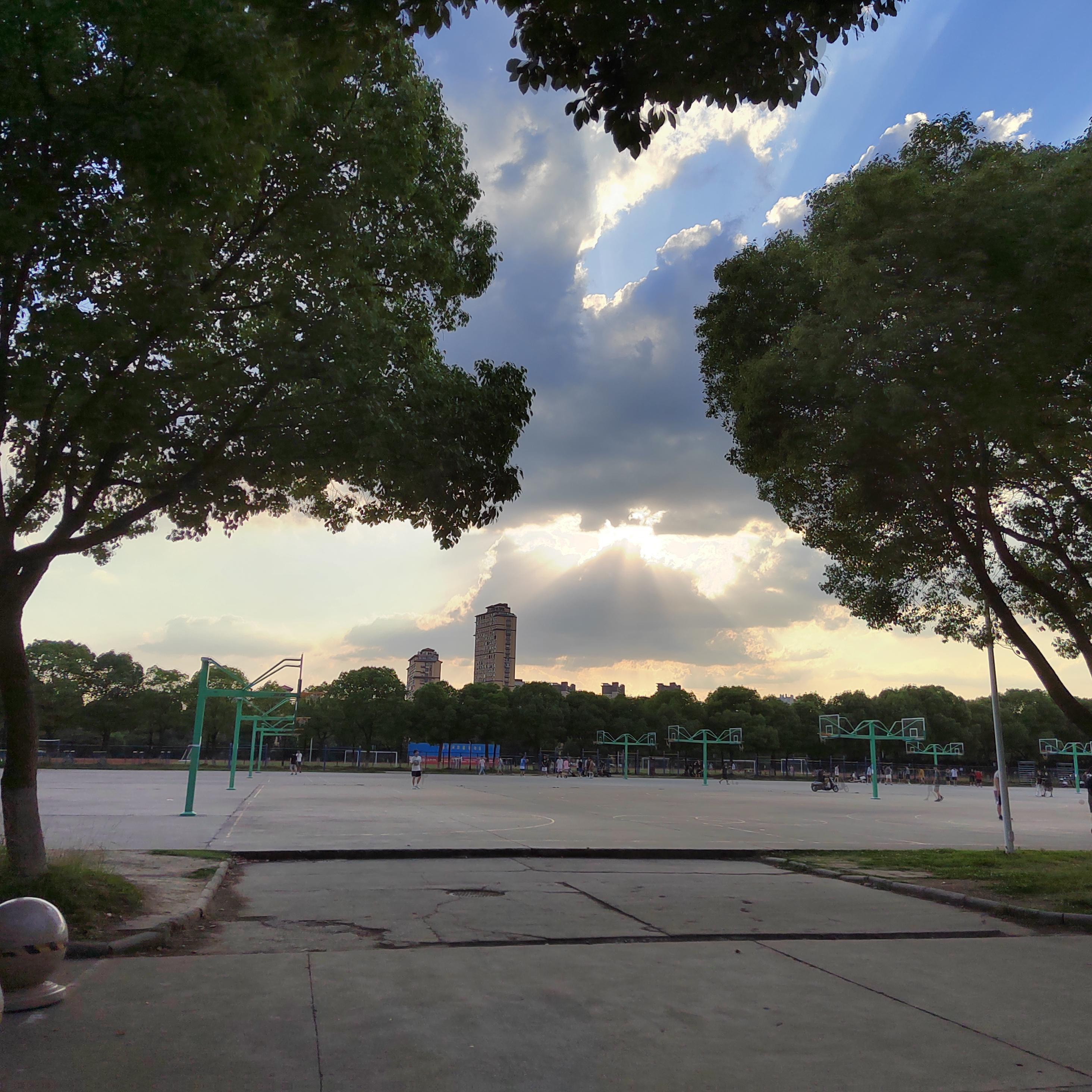 日常喜欢您封面