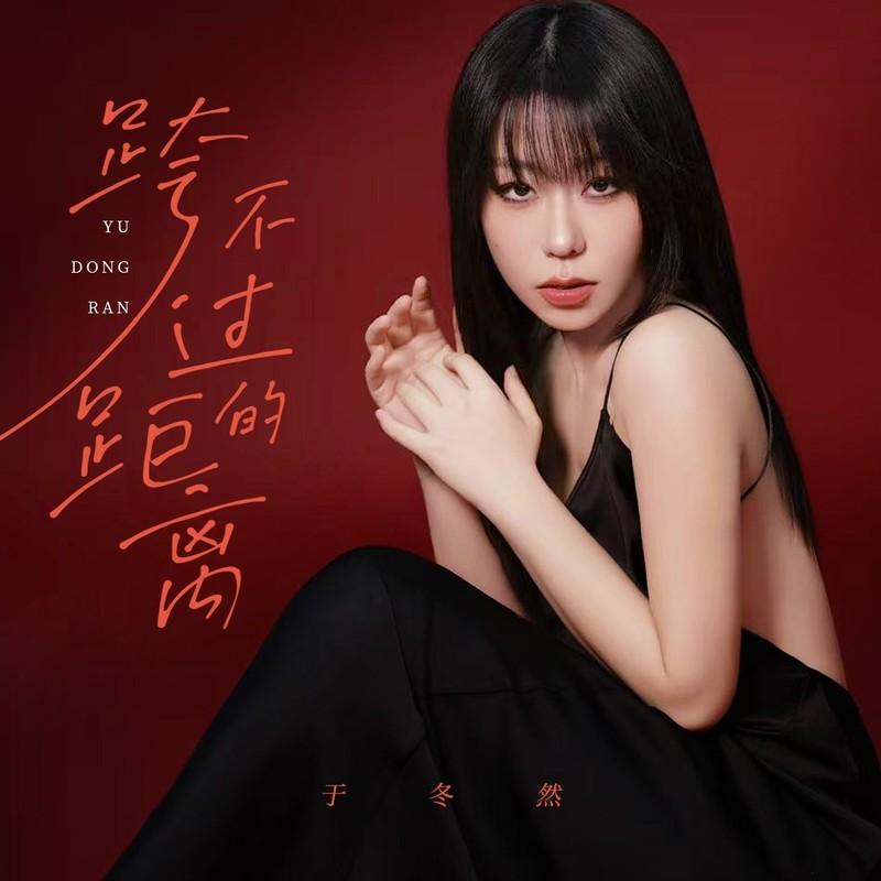 跨不过的距离封面