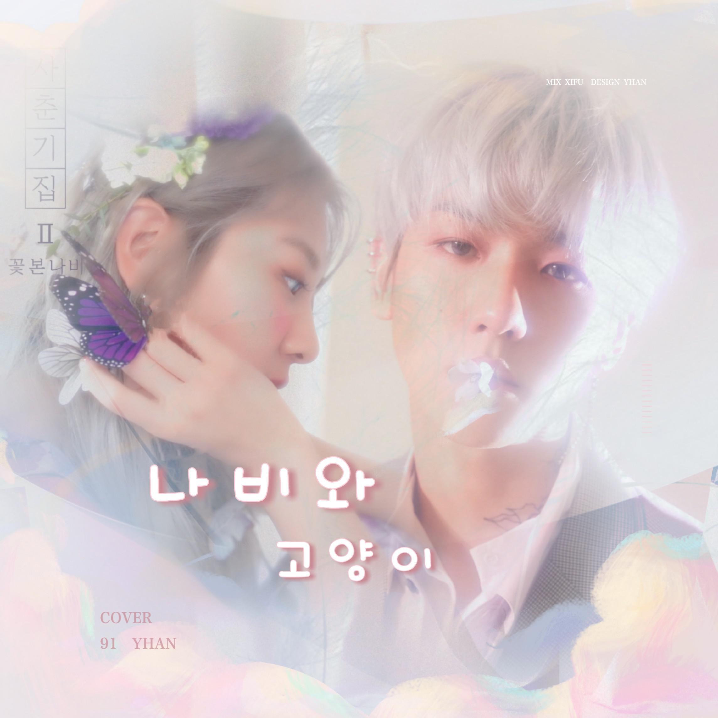 나비와고양이（翻自 伯贤）