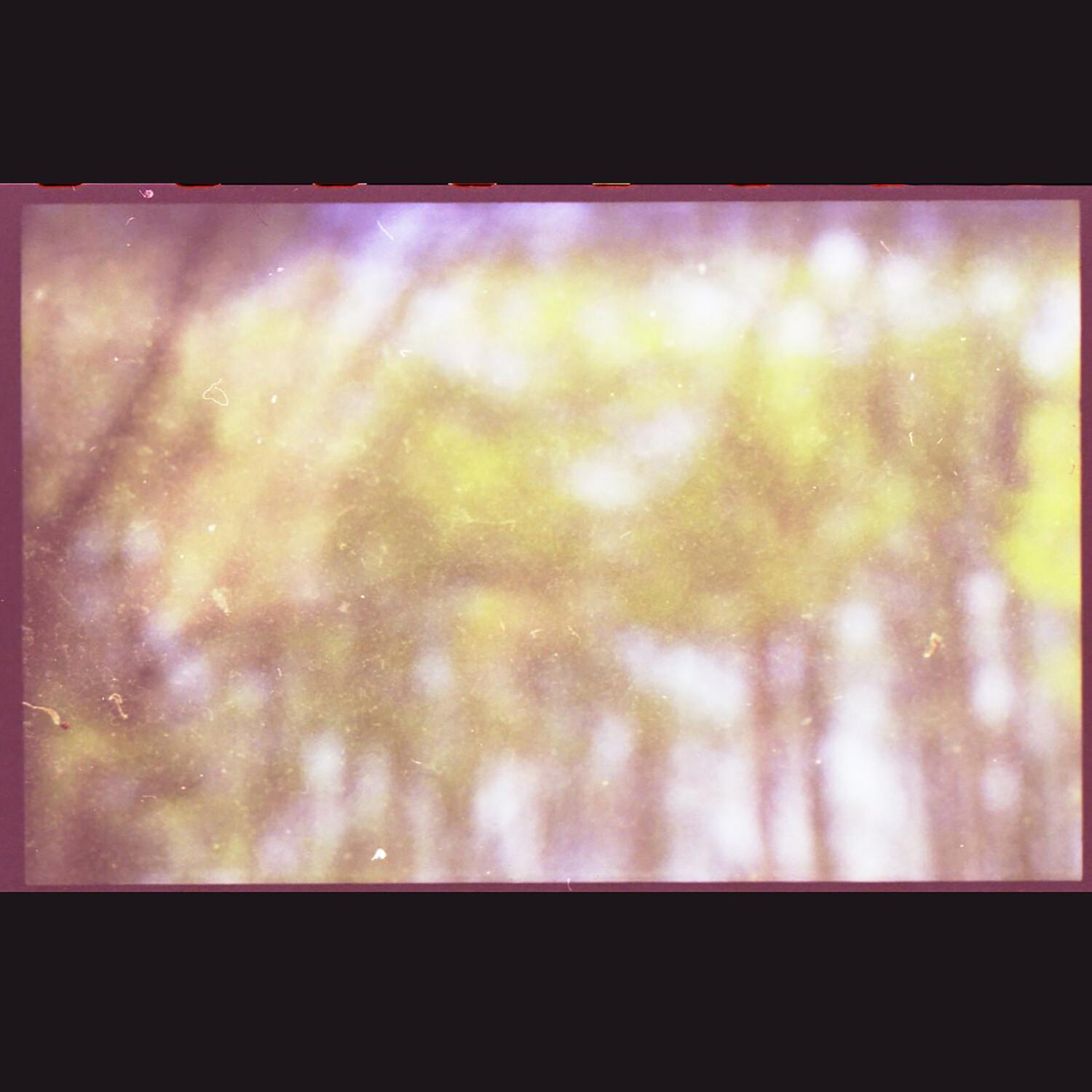 Nobody wants to be sometime