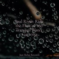 Soul River: Ride the Flow of 100 Tranquil Water Currents