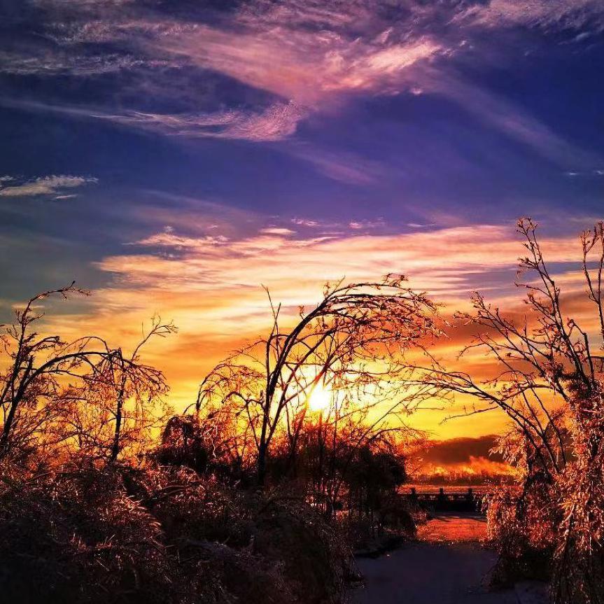 愿你抚琴有人听