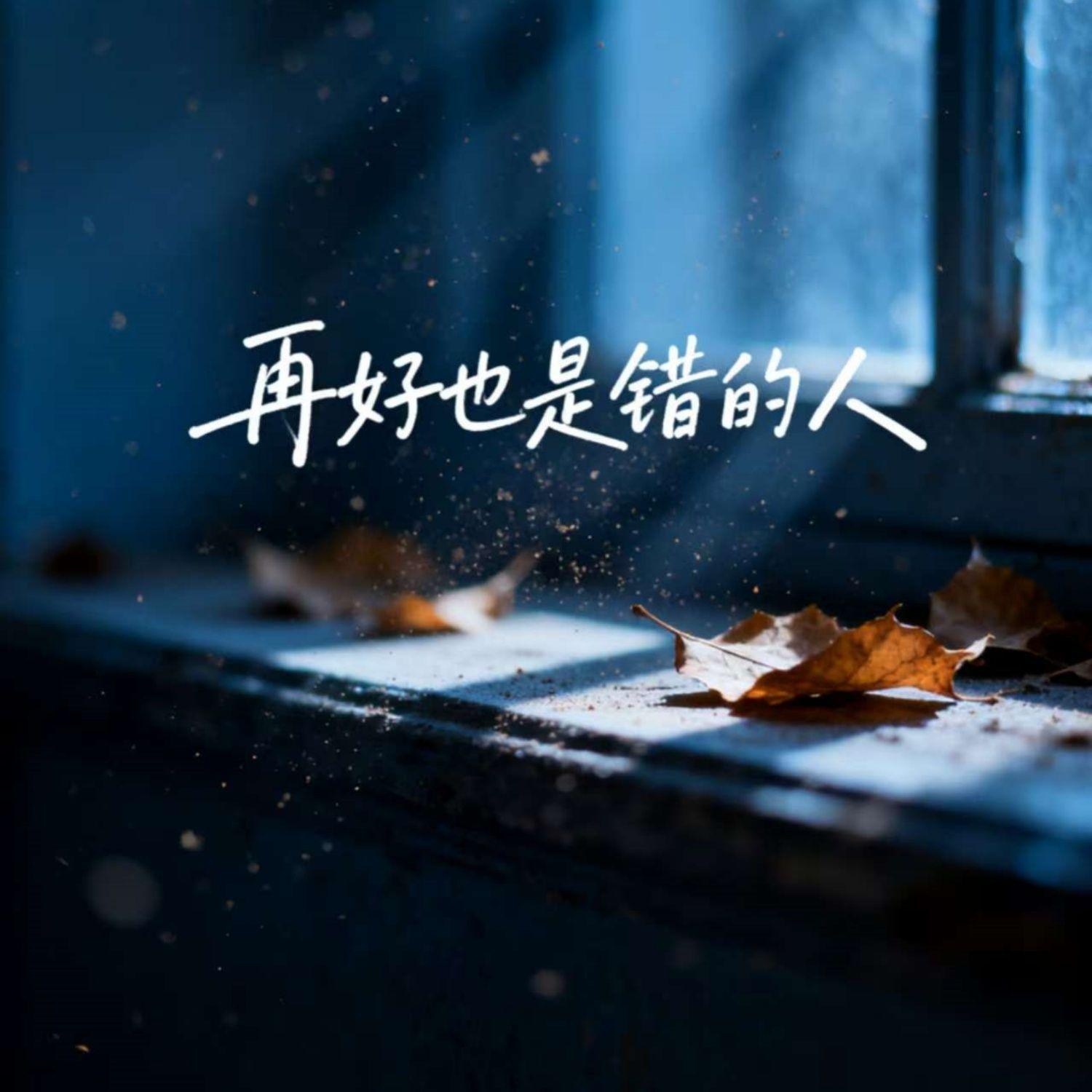 再好也是错的人封面