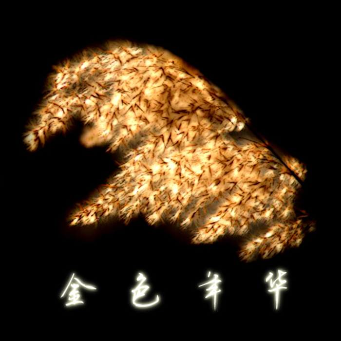 听！是谁在唱歌？封面