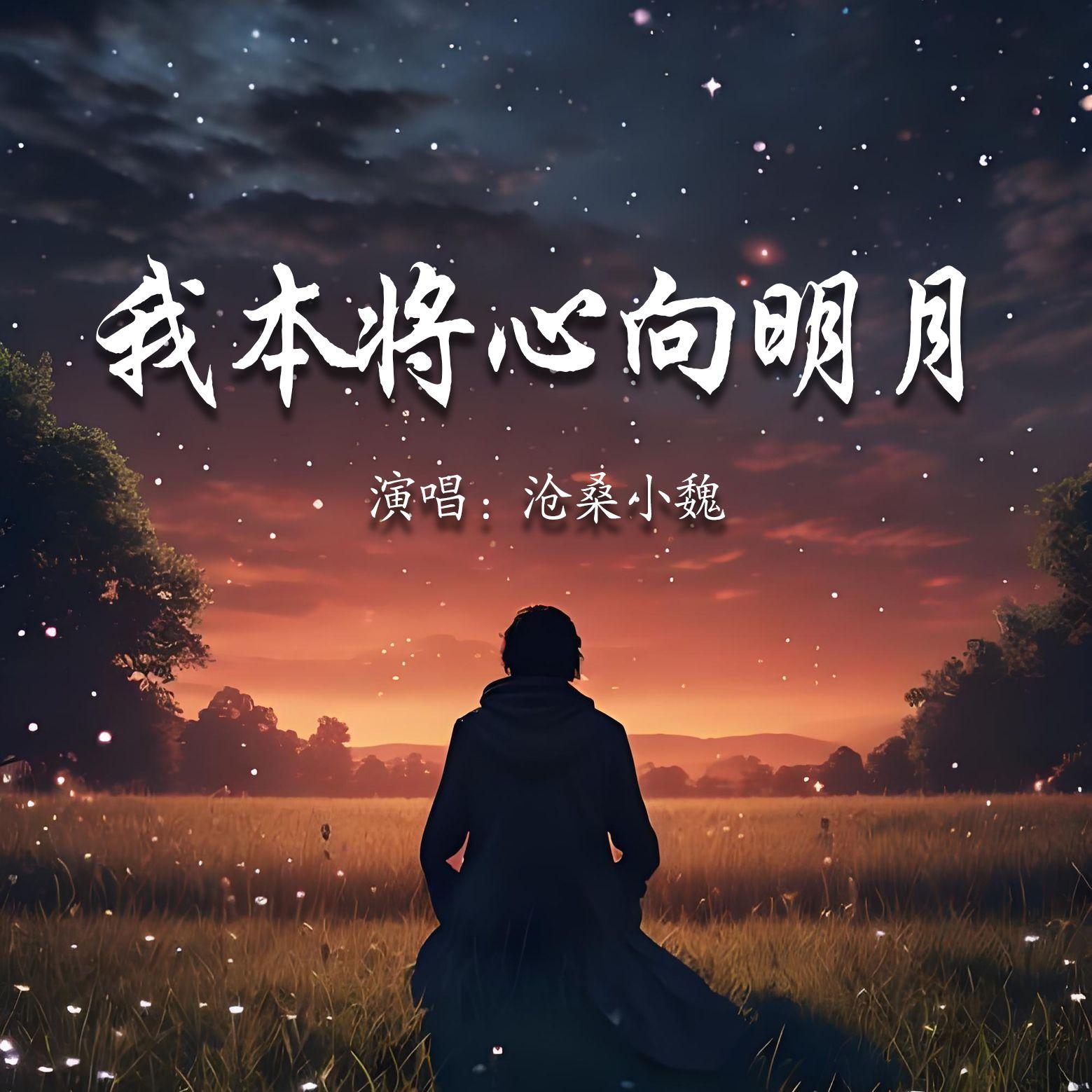我本将心向明月封面