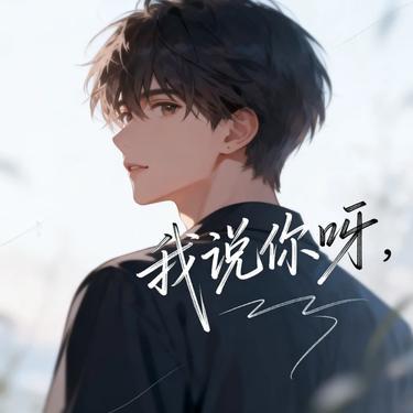 我说你呀 (洒脱版)  (Remix)封面