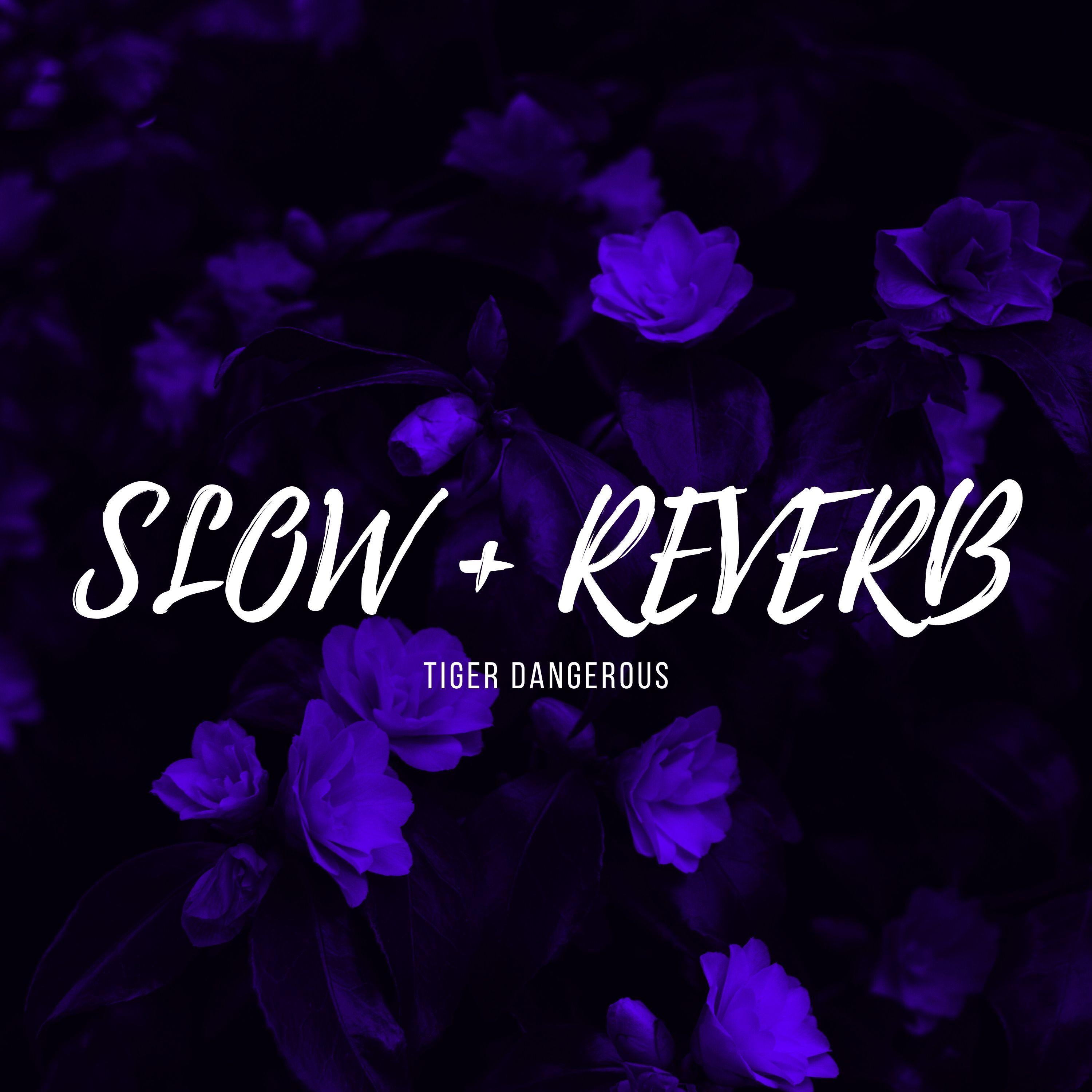 Gabru ( Slow + Reverb ) O Zinda Vasde Ne Yaar