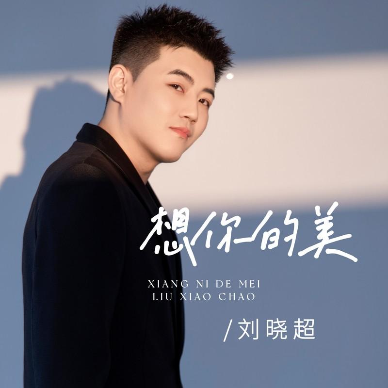想你的美 (DJ默涵版)封面