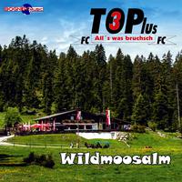 Wildmoosalm