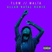 FLOW (Allan Natal Remix)