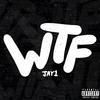 JAY1 - WTF